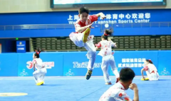 申城璀璨映武林：全國青少年“武林